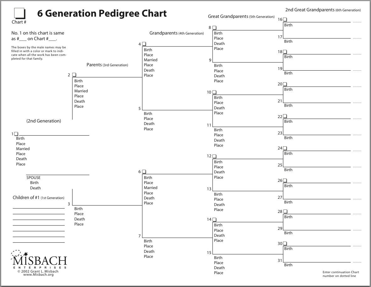 5 generation pedigree chart template